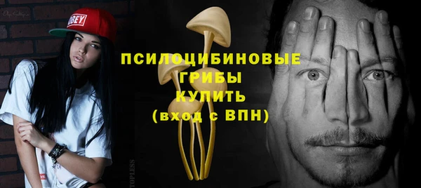 гашик Липки