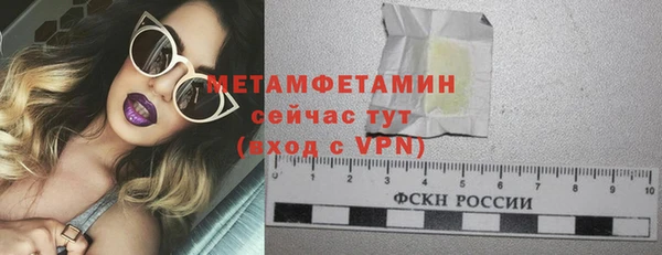 шишки Туринск
