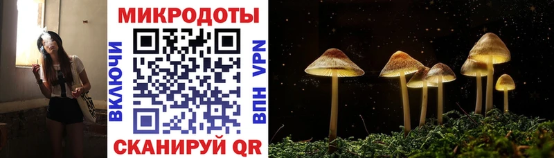 Псилоцибиновые грибы прущие грибы Лихославль